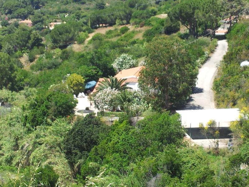Alloggi Del Mirto A Morcone - Goelba Capoliveri Kültér fotó