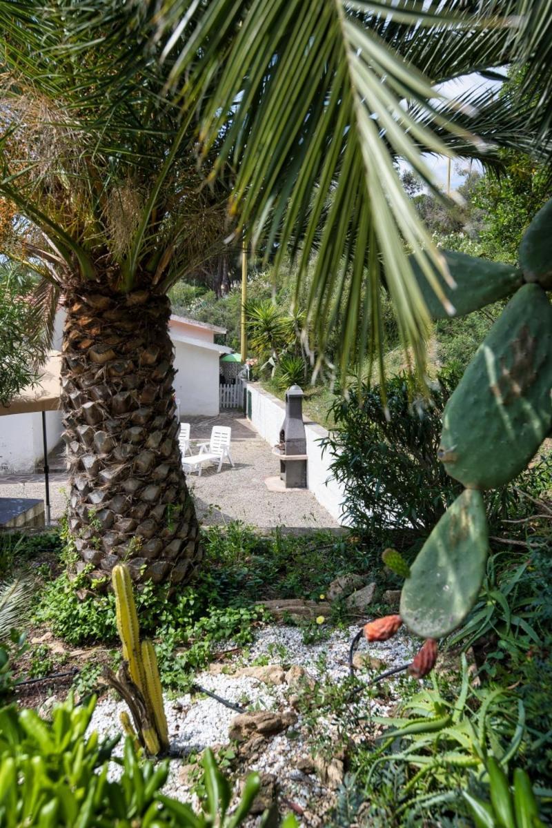 Alloggi Del Mirto A Morcone - Goelba Capoliveri Kültér fotó