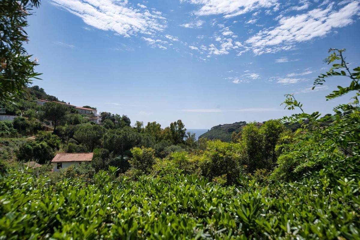 Alloggi Del Mirto A Morcone - Goelba Capoliveri Kültér fotó