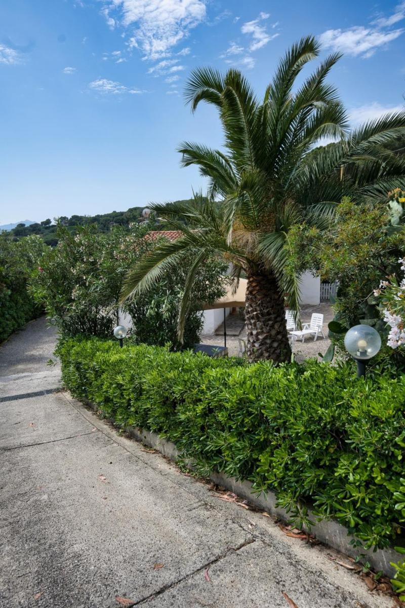 Alloggi Del Mirto A Morcone - Goelba Capoliveri Kültér fotó